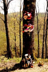 Quelle est l’histoire ?