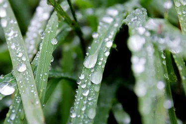 L’élégance des jours gris