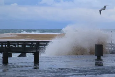 Je vole libre heureux au-dessus des vagues en furie, elles ne m'atteignent pas