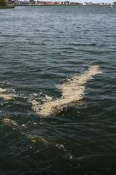 La pollution est l’ombre du progrès Sylvain Tesson