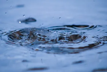 La symphonie des gouttes